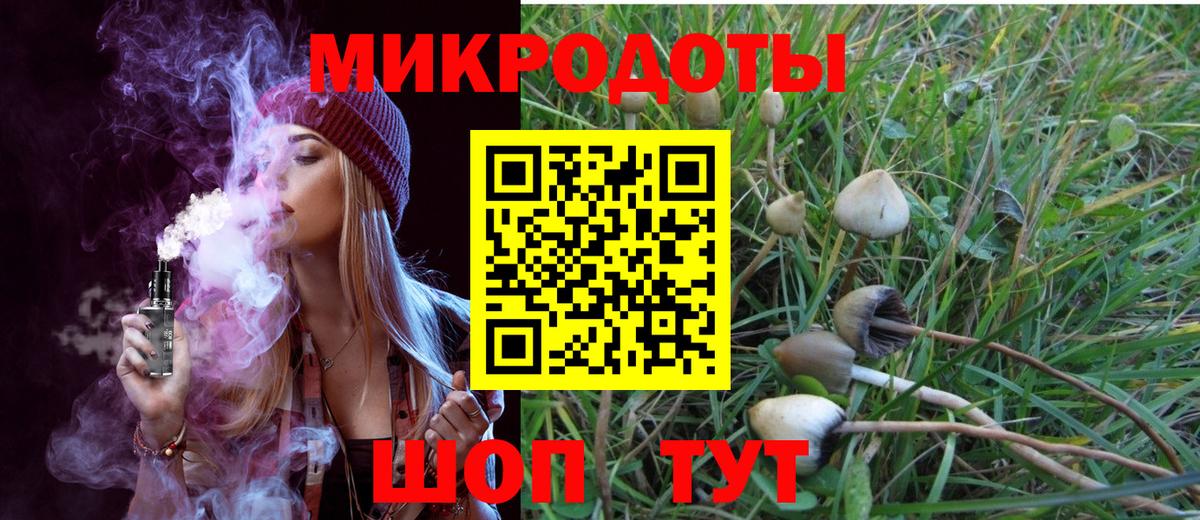Новоалександровск  Псилоцибиновые грибы Psilocybe  Вход с VPN 