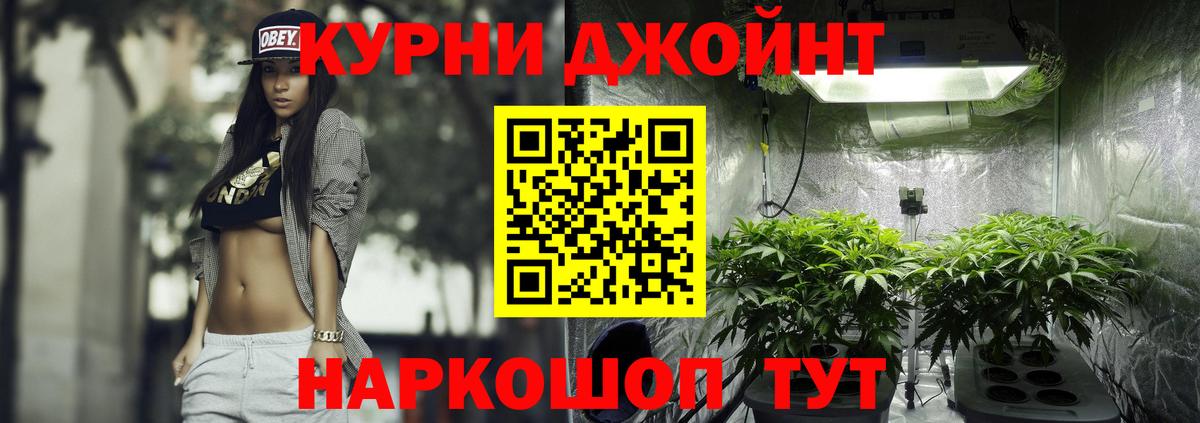 Конопля Amnesia Новоалександровск